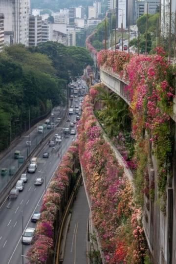福州最美悬空步道,市民必访景点攻略