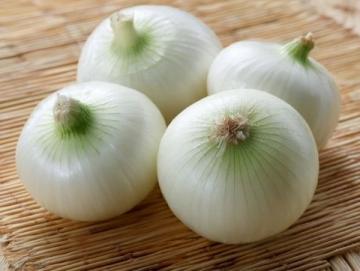 蒸茴香助老年人解决通便难题