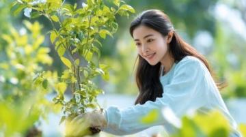 厦门春游攻略：赏花、文化探索与潮流体验，一网打尽！