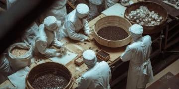 清晨官桥豆干作坊里的忙碌与传统制作工艺