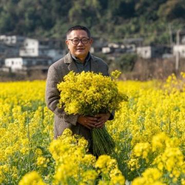 汉中市油菜花一日游攻略:梯田湖光山色美景全体验