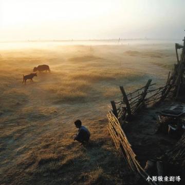 2019年南宁全城的扁桃欠收,于是整座城市缺少了一年一度的雨果节