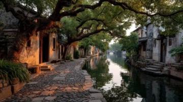 夏日打卡季:探秘华北明珠白洋淀,体验北方水乡生态人文之旅