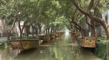 增城风光无限:广州周边的美丽乡村之旅