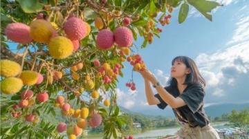 伊春之旅：在森林与美食中畅游