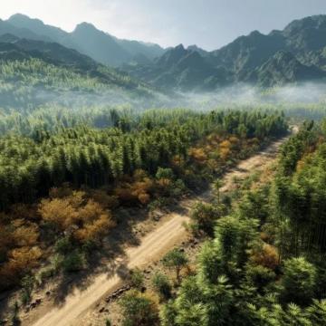 西双版纳深度游全攻略:秘境美景、美食地图与当地玩法揭秘