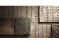 文言文译解要点解析
