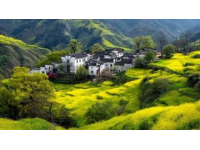 我在头条晒家乡 这个话题真好,我的家乡是山东泗水的小山村。有古老历史文化、五谷杂粮和长寿的老人……".