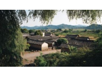 纳溪小城之旅:品尝特早茶、探索酒文化与美味佳肴