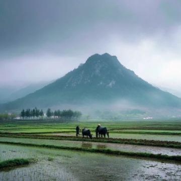 探索潜江之美:湖北之旅指南