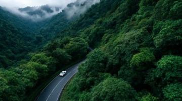 西双版纳旅游攻略:热带雨林与傣族文化的完美结合