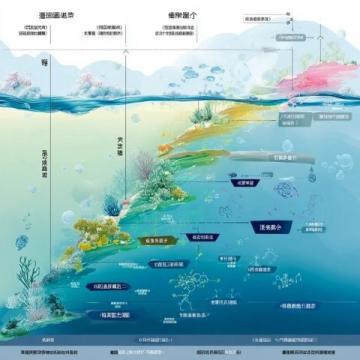 集美大学详解：历史底蕴、学科建设与研究生教育的全面探索