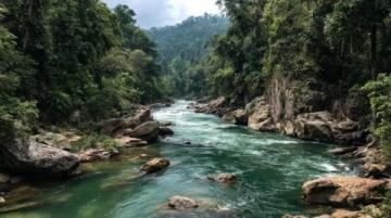 西双版纳旅游攻略:热带雨林与傣族文化的完美结合