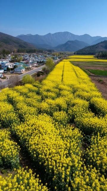 2025五一怀柔游玩指南:畅享交通、食宿与特色之旅