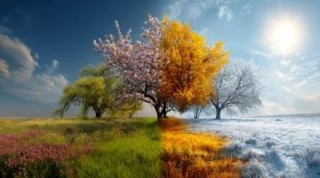 四季幽情词牌组诗:春探夏怀秋思冬叹