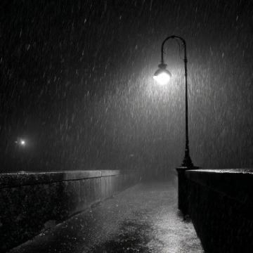 小雨再次淅沥落下