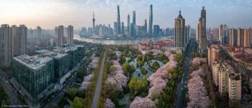 春节反向旅行:上海自驾游潮汕指南