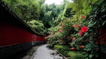 东莞石排镇之旅