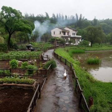 台山市四九镇鳅鱼角溯溪泡潭,食黑豆鳅鱼汤黄鳝饭:一游四九镇鳅鱼角的美丽水潭