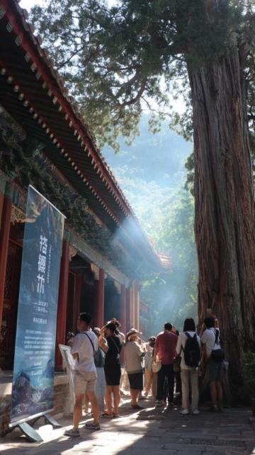 千年古刹天童禅寺:太白山麓的佛教圣地