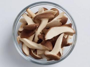 炎夏七月,寻找健康美味的野生松茸替代品