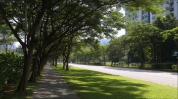 北京自驾游厦门之旅：秋日集美学村寻暖阳