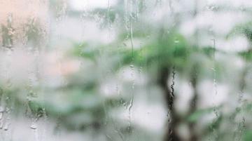 小雨再次淅沥落下