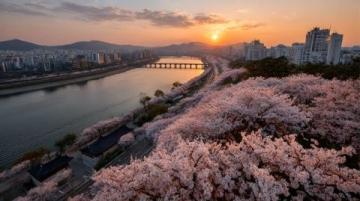 2025年必去的五大春季旅行胜地,跟随榜单开启新体验