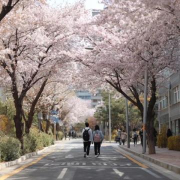 五一假期避拥挤,探秘这10个小众旅游宝藏地