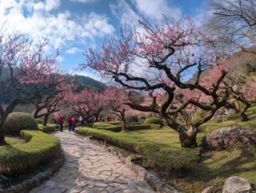 呼伦贝尔扎兰屯杜鹃节:春日赏花与美食之旅