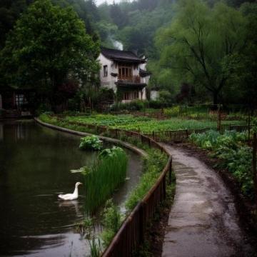 浙西南山区的诗意栖居地——松阳