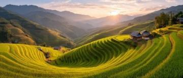 农文旅融合有哪些发展模式(农产品文旅融合，基础模式有哪些？)