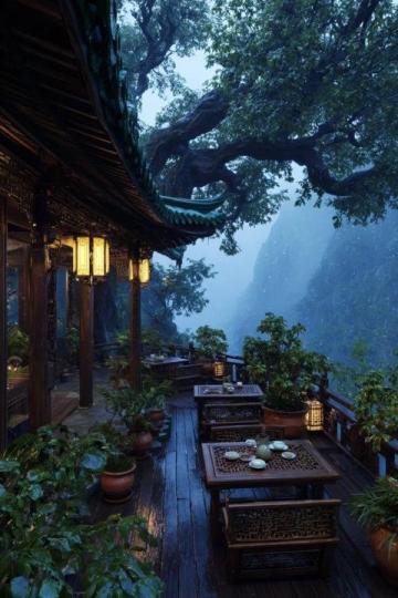 今天,我从杭州西湖旅游,专门乘车到河坊街素满香素食自助餐店就餐
