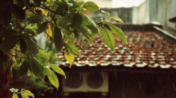 烟雨江南,味蕾飘香