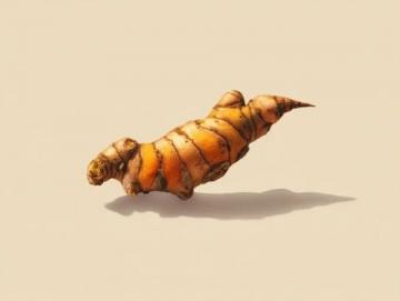 探寻黄须菜的传统美味之旅