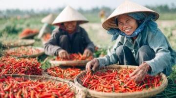 探索中国香肠魅力:一位女人的狂热与扶贫达人的使命