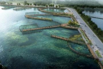 揭秘武汉热门免费钓点:南湖、青菱河、麻湖路等垂钓天堂