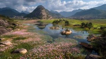 百科冷知识:莲藕种植方法详解