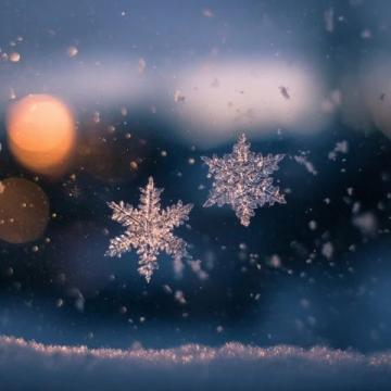 朋友圈各地飘雪，温暖冬日期待一场大雪纷飞；在宁静中迎接新年，祈愿生活更美好