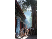 千年古刹天童禅寺：太白山麓的佛教圣地