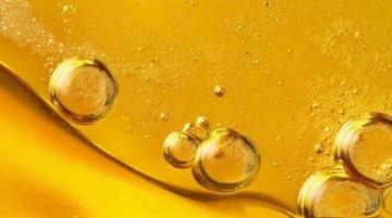 大商所推动棕榈油期货国际化业务深度融合