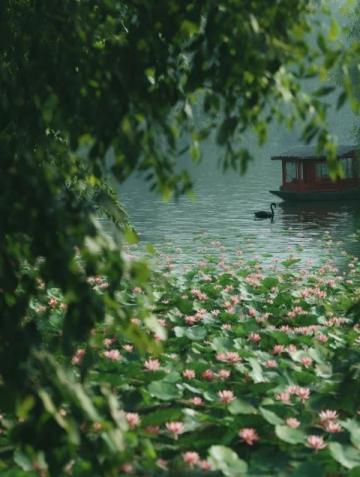潍坊高密南湖植物园——城市绿洲的诗意栖居**