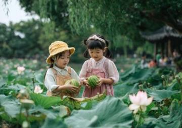 潍坊高密南湖植物园——城市绿洲的诗意栖居**