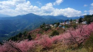 日本东北13日赏樱精华游记