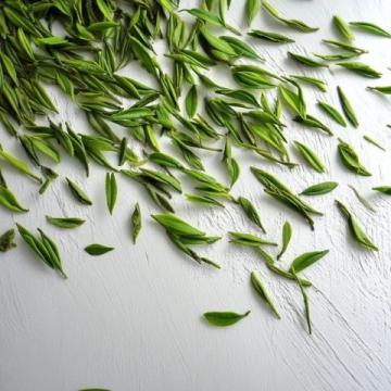 安吉白茶: 品尝头采的生机与活力