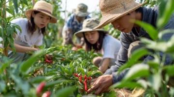 巴州区兴文小学校园农场种蔬菜,校门口摆摊搞义卖