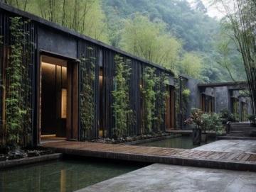探秘海南昌江霸王岭:热带雨林的天然氧吧