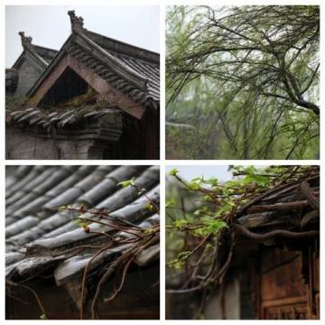 台风过后 家庭杀虫灭鼠须知