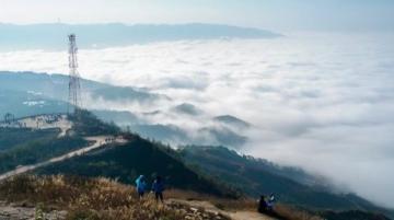 舟山是个极具魅力的旅游胜地,一日游或者两日游皆适宜