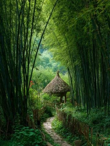 深秋踏青指南:一日徒步探险,竹影水韵古村落美食之旅